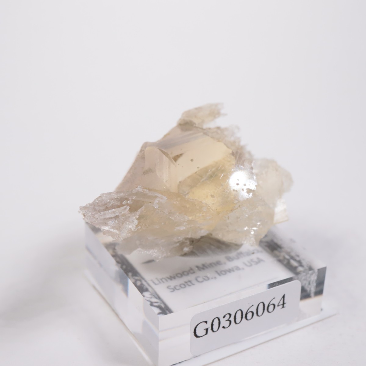 Linwood�ۻ� �Х饤��
