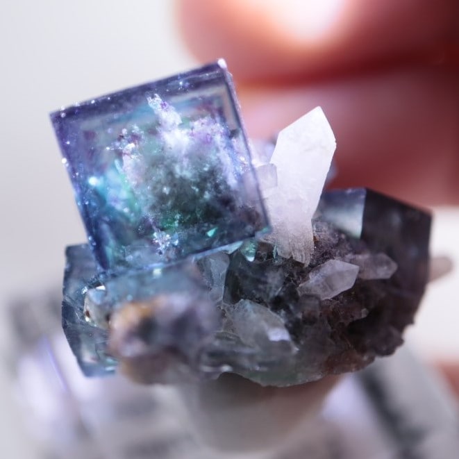 美品✨オコルス鉱山産フローライト&クォーツ 母岩付き共生原石 オコルス鉱山産 フローライト | 鉱物標本,ハ行,フローライト/蛍