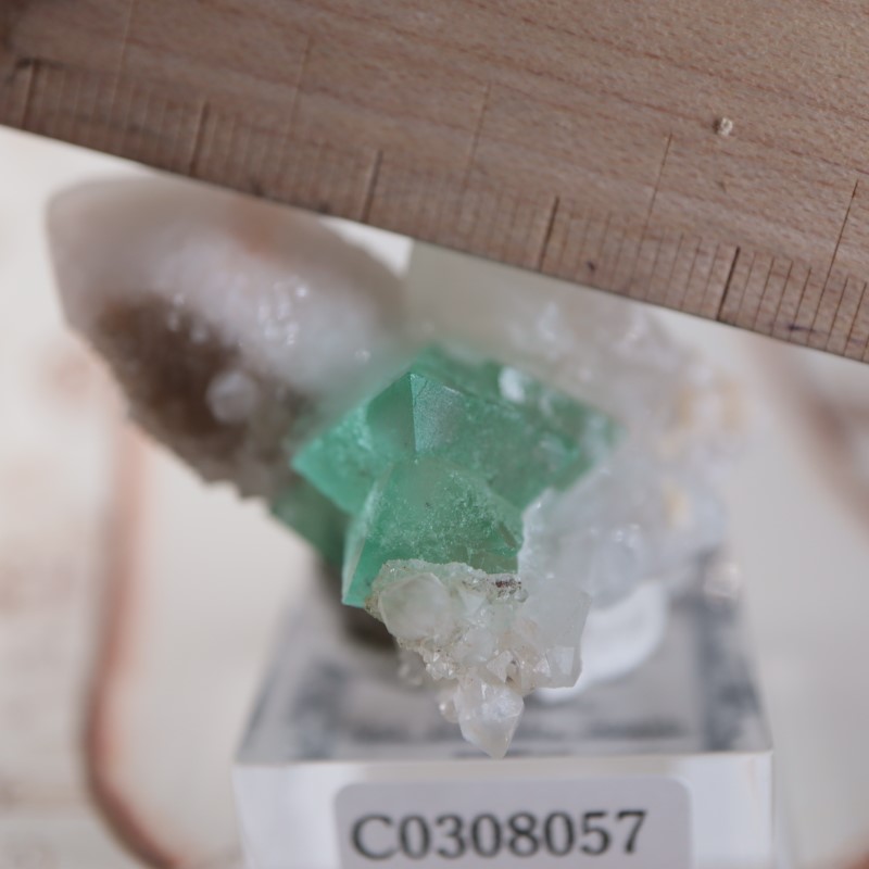 南アフリカ産 フローライト | 鉱物標本,ハ行,フローライト/蛍石