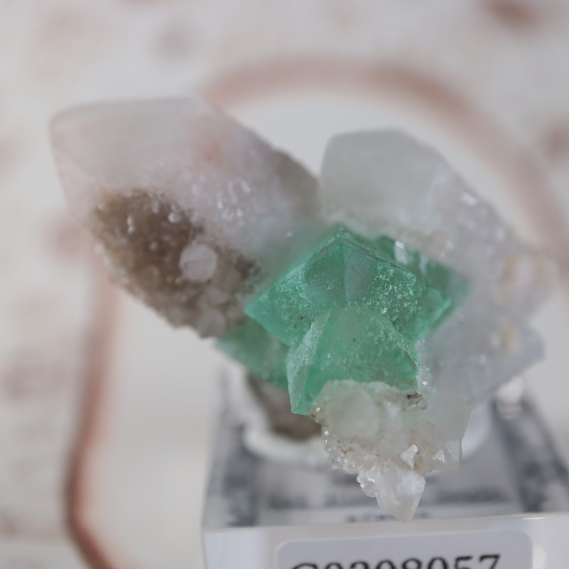 147 ナイジェリア産 Mambilla フローライト | pick.com.mx