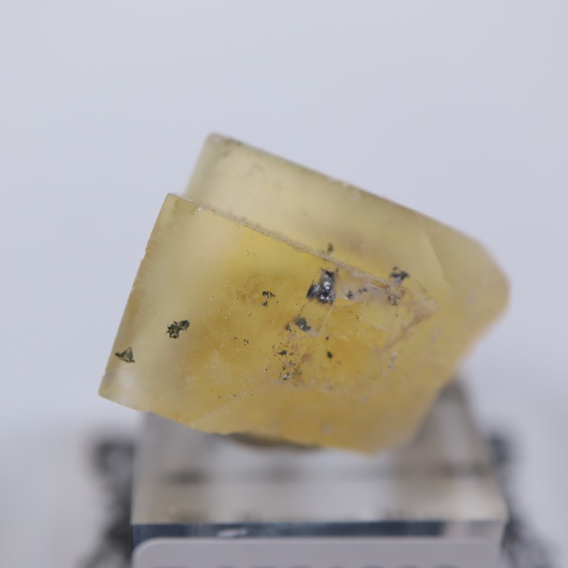 El Hammam�ۻ����ե����饤��