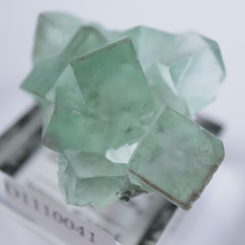 �����ե�����󻺡�����