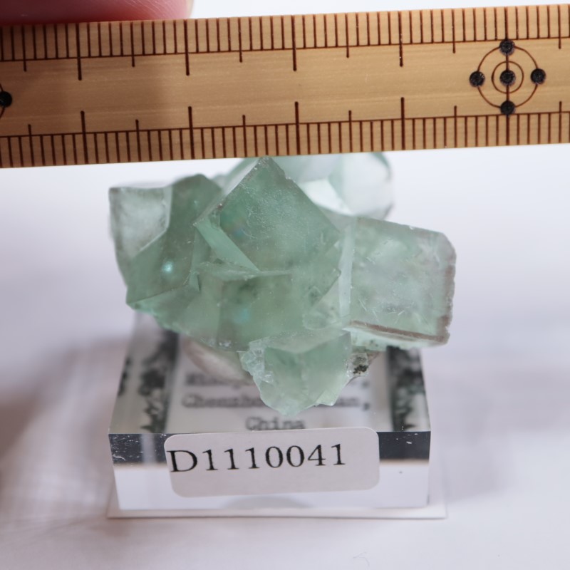 �����ե�����󻺡�����