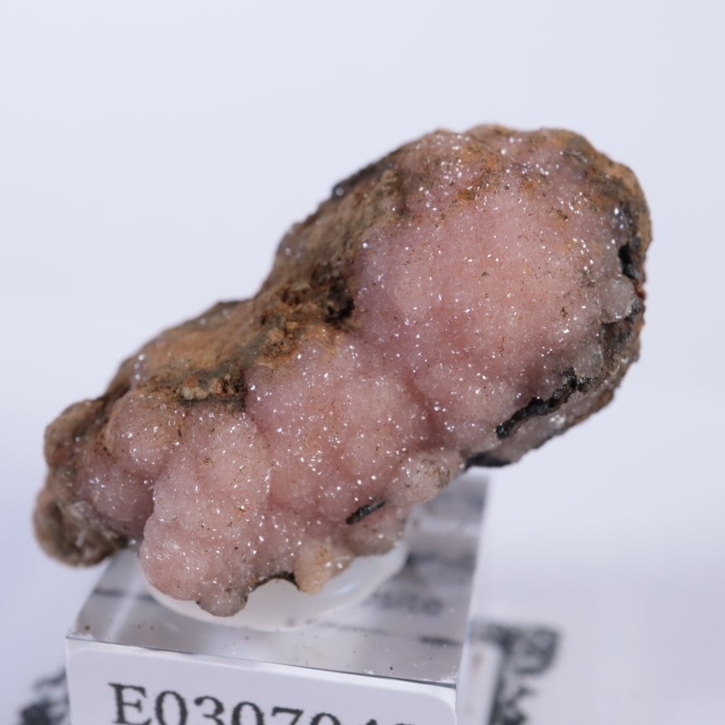 �ᥭ�������������ɥ���������