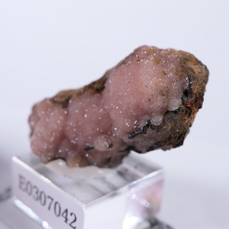 �ᥭ�������������ɥ���������