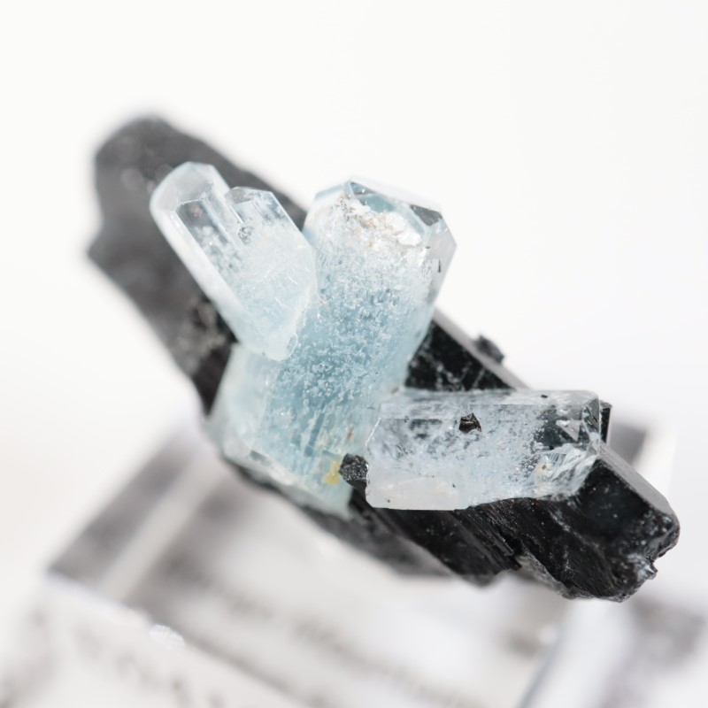 �����󥴹ۻ����������ޥ��on���硼��