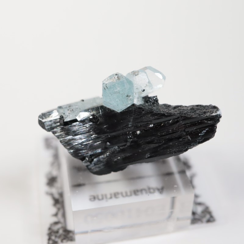 �����󥴹ۻ����������ޥ��on���硼��