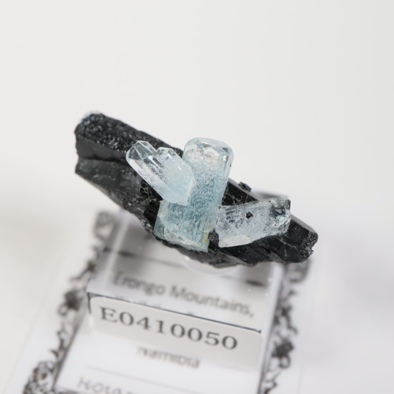 エロンゴ鉱山 アクアマリンonショール | 鉱物標本,ハ行,ベリル/緑柱石