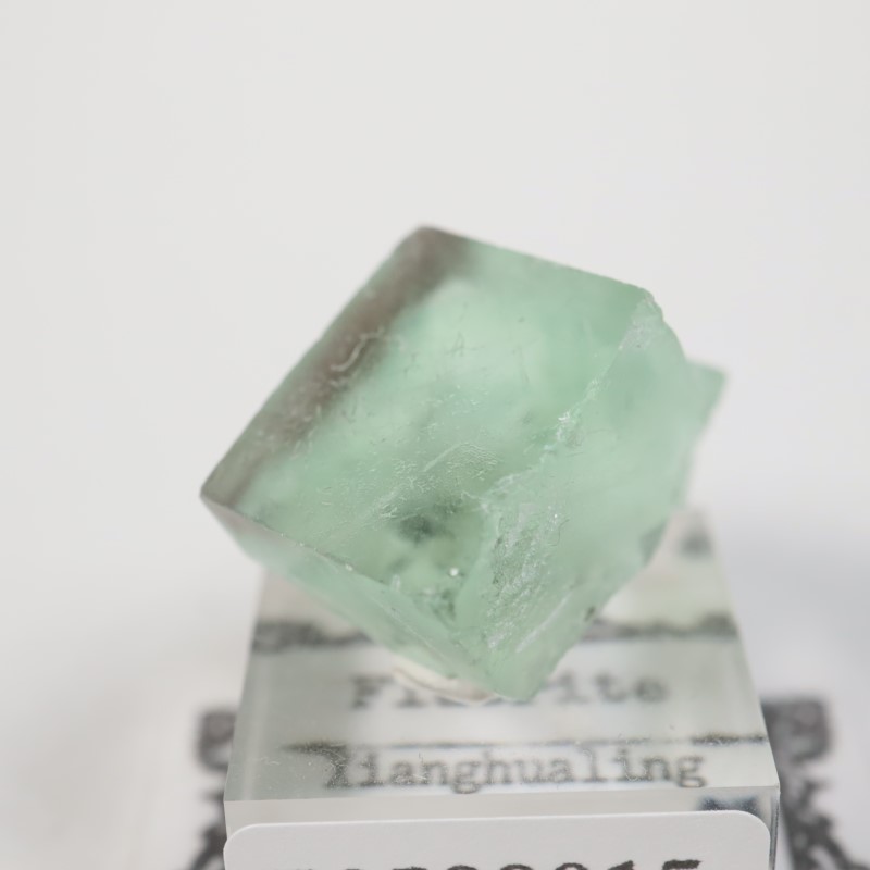 �����ե�����󻺡�����