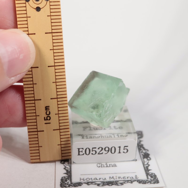 �����ե�����󻺡�����