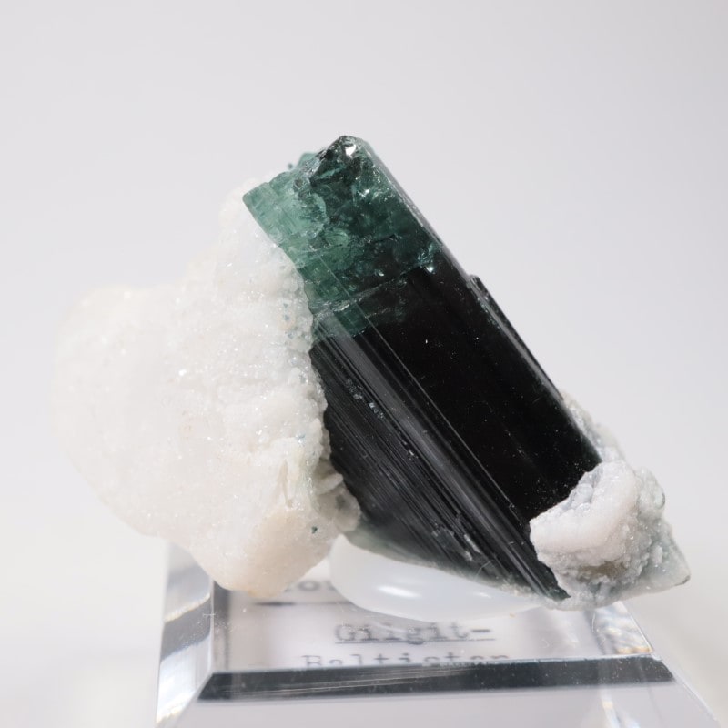 �ѥ������� �ȥ�ޥ��