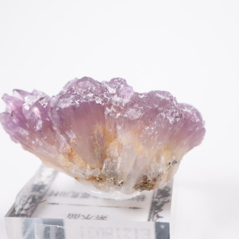 【鉱物標本】アメシスト/紫水晶【日本】 紫水晶 鉱物標本 ケニス 寸法20～30mm 1個 - 【通販モノタロウ】