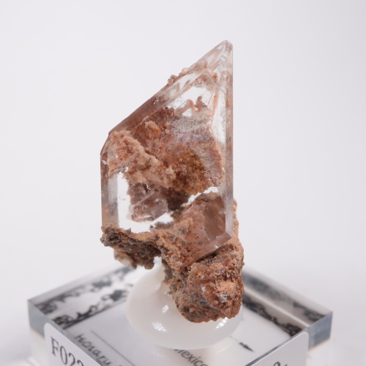 �ᥭ������ ����ʥ���