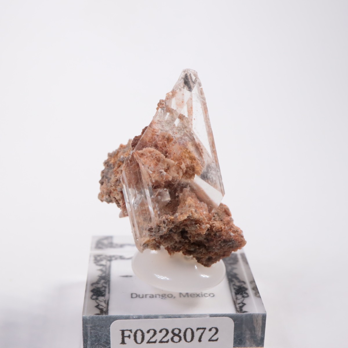 �ᥭ������ ����ʥ���