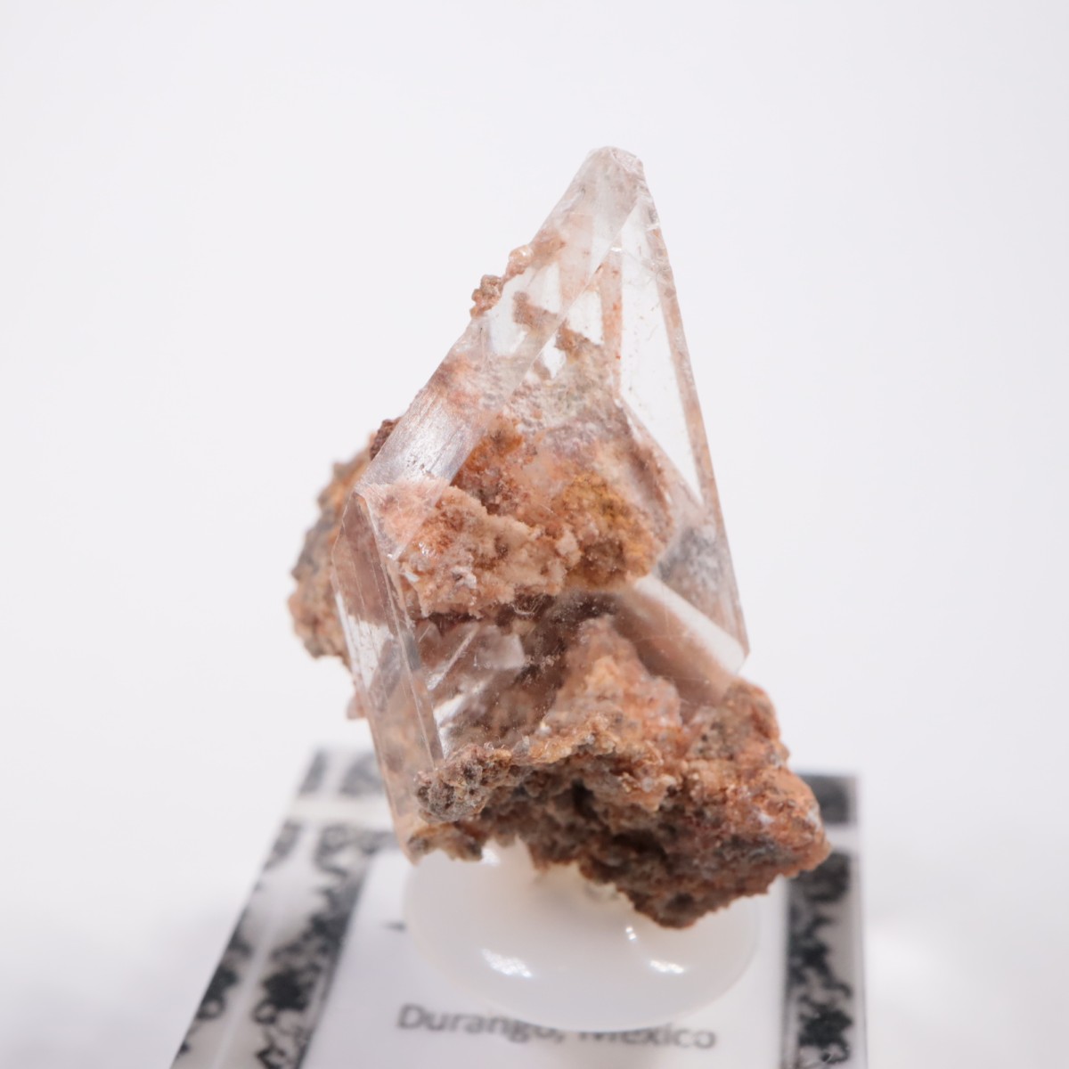 �ᥭ������ ����ʥ���