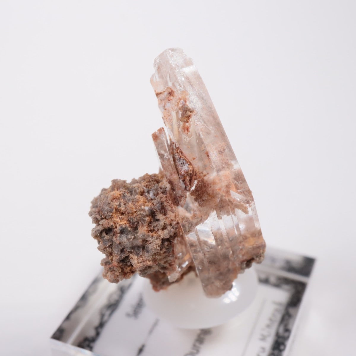 �ᥭ������ ����ʥ���