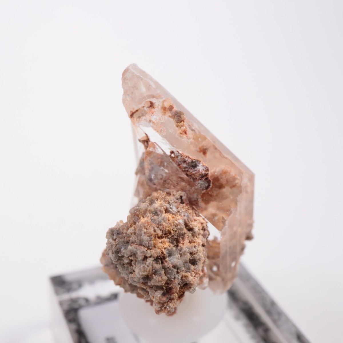 �ᥭ������ ����ʥ���