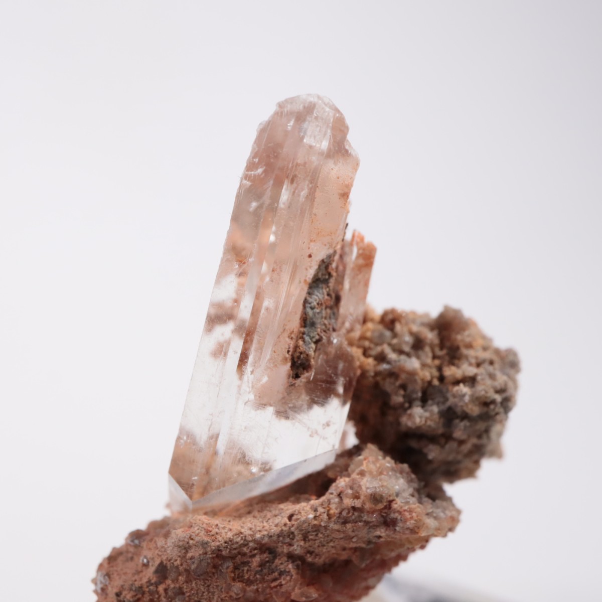 �ᥭ������ ����ʥ���