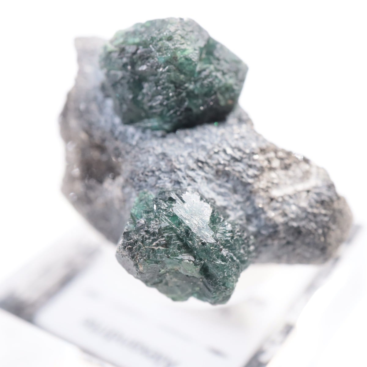 ����Х֥��� ���쥭����ɥ饤��