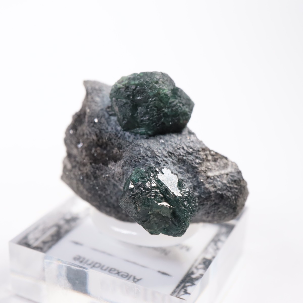 ����Х֥��� ���쥭����ɥ饤��