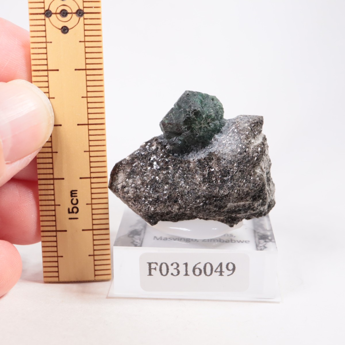 ジンバブエ産 アレキサンドライト | 鉱物標本,カ行,クリソベリル