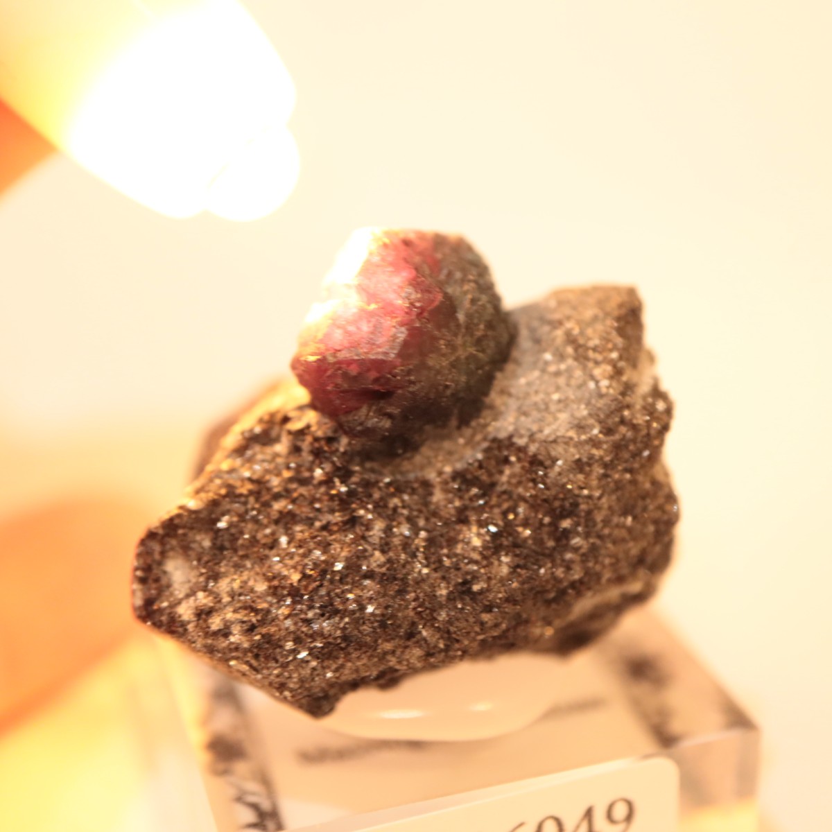 ����Х֥��� ���쥭����ɥ饤��