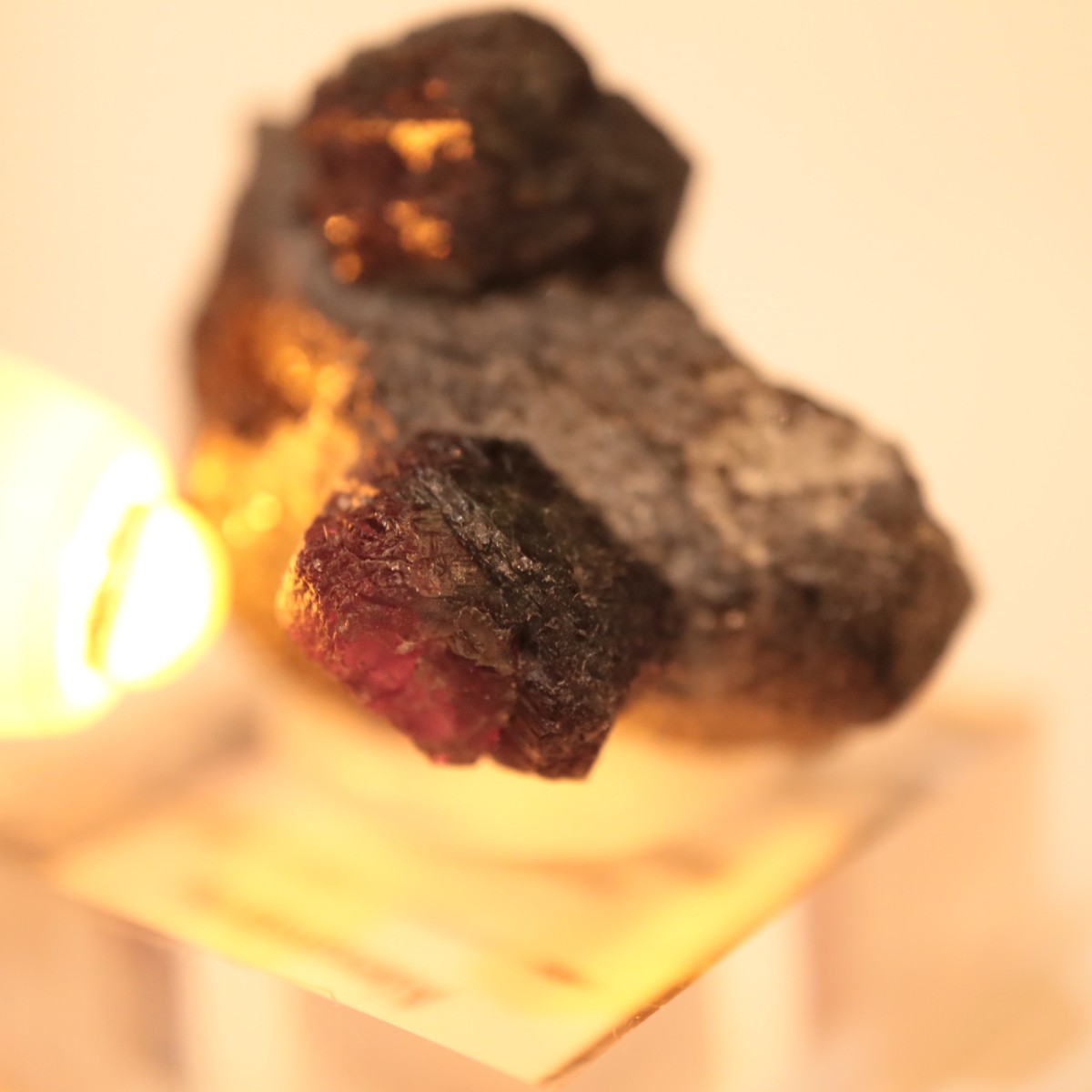 ����Х֥��� ���쥭����ɥ饤��