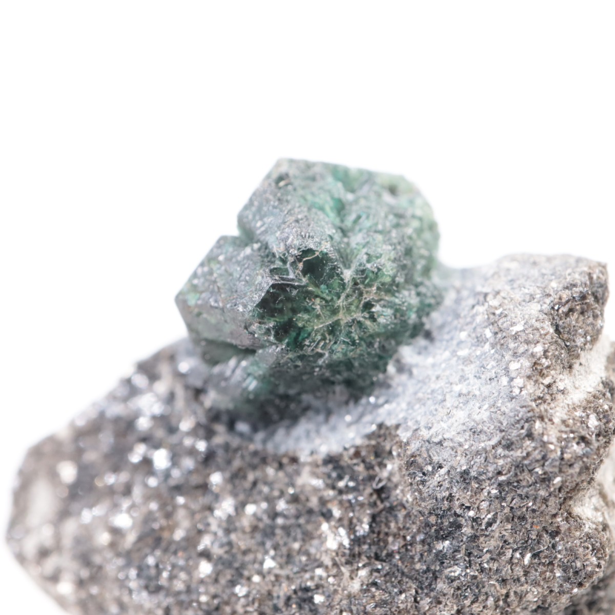 7_000000009497.jpg?1742123596