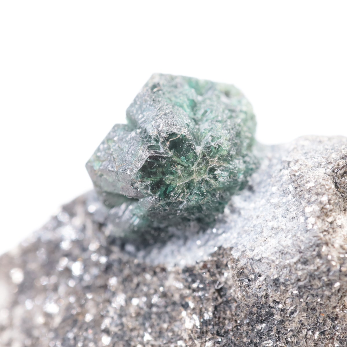 ����Х֥��� ���쥭����ɥ饤��