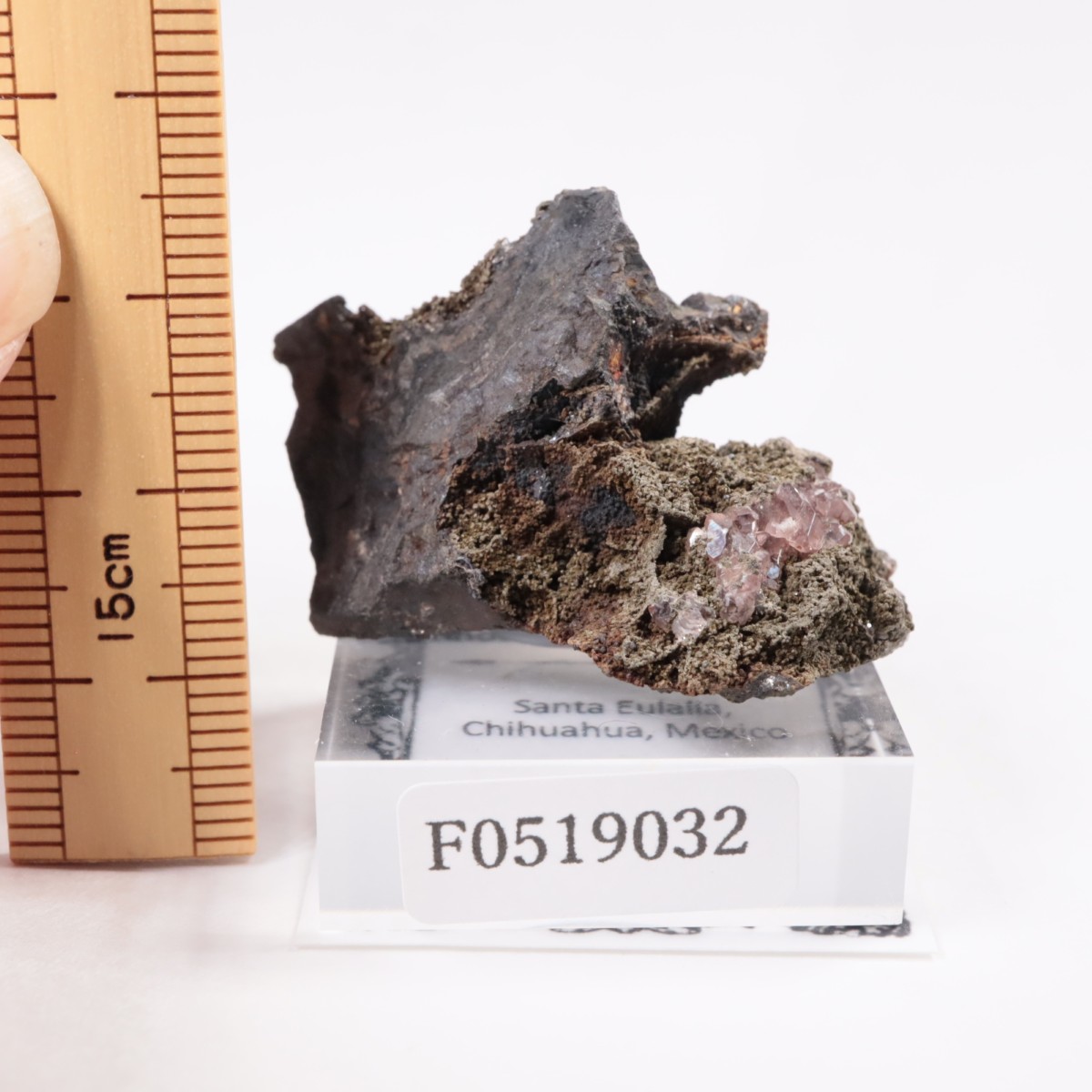 �ᥭ������ �����ɥ���������