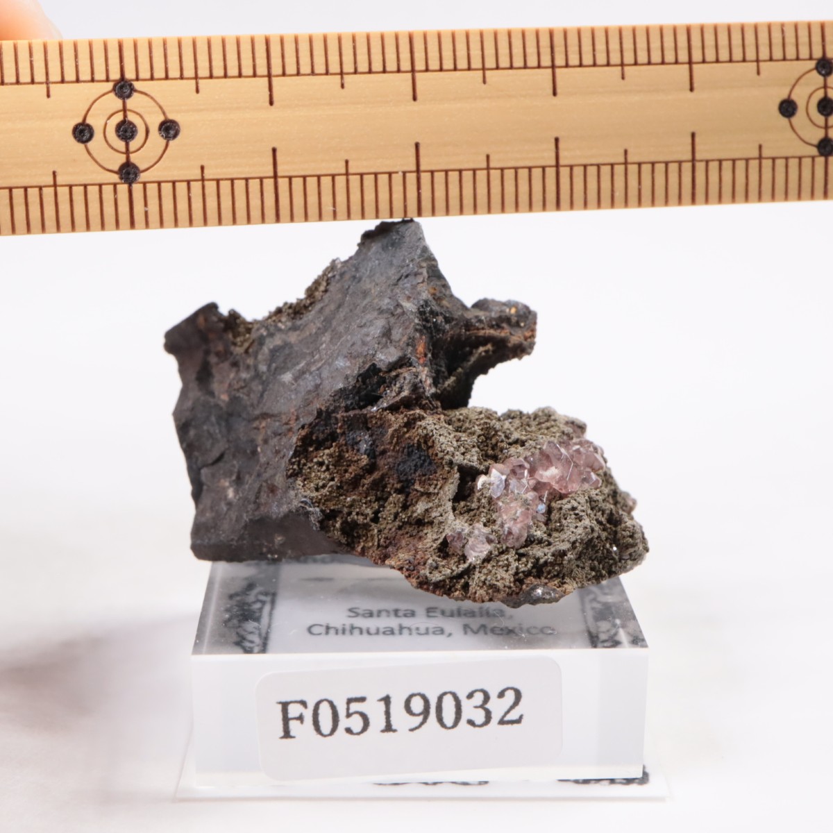 �ᥭ������ �����ɥ���������