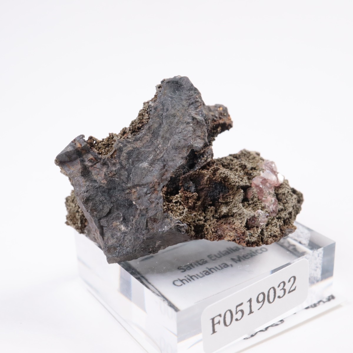 �ᥭ������ �����ɥ���������