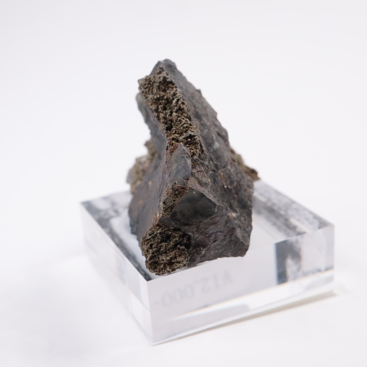 �ᥭ������ �����ɥ���������