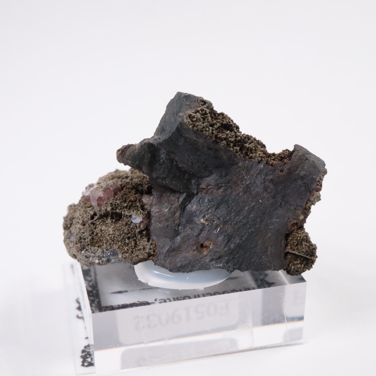 �ᥭ������ �����ɥ���������