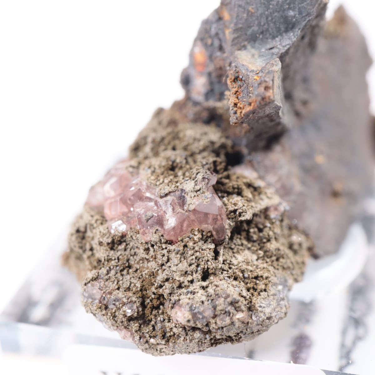 �ᥭ������ �����ɥ���������