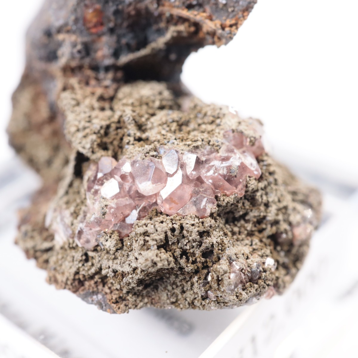 �ᥭ������ �����ɥ���������