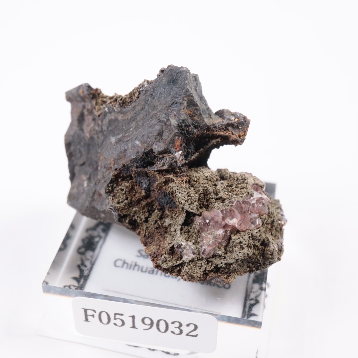 �ᥭ������ �����ɥ���������