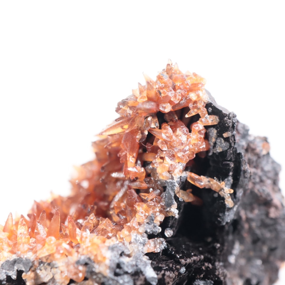 ���ܥ� �����ɥ���������