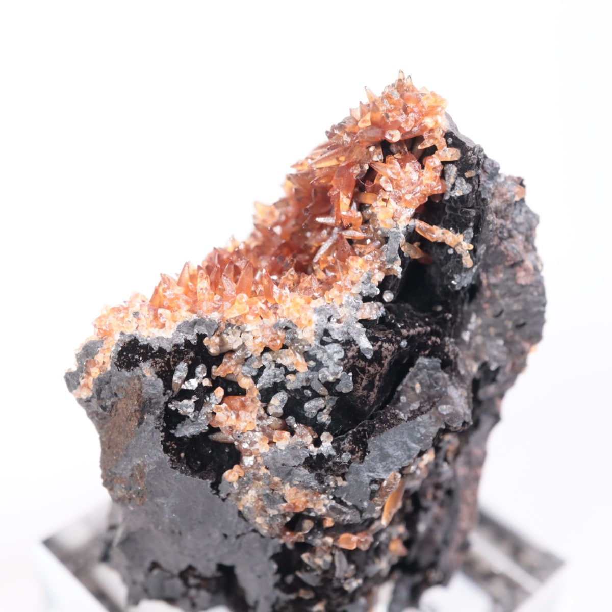 ���ܥ� �����ɥ���������