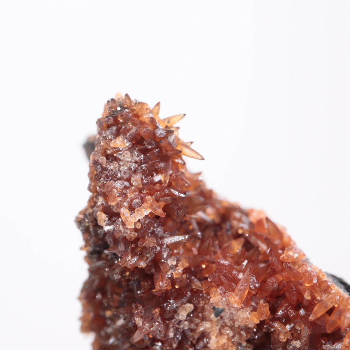 ���ܥ� �����ɥ���������