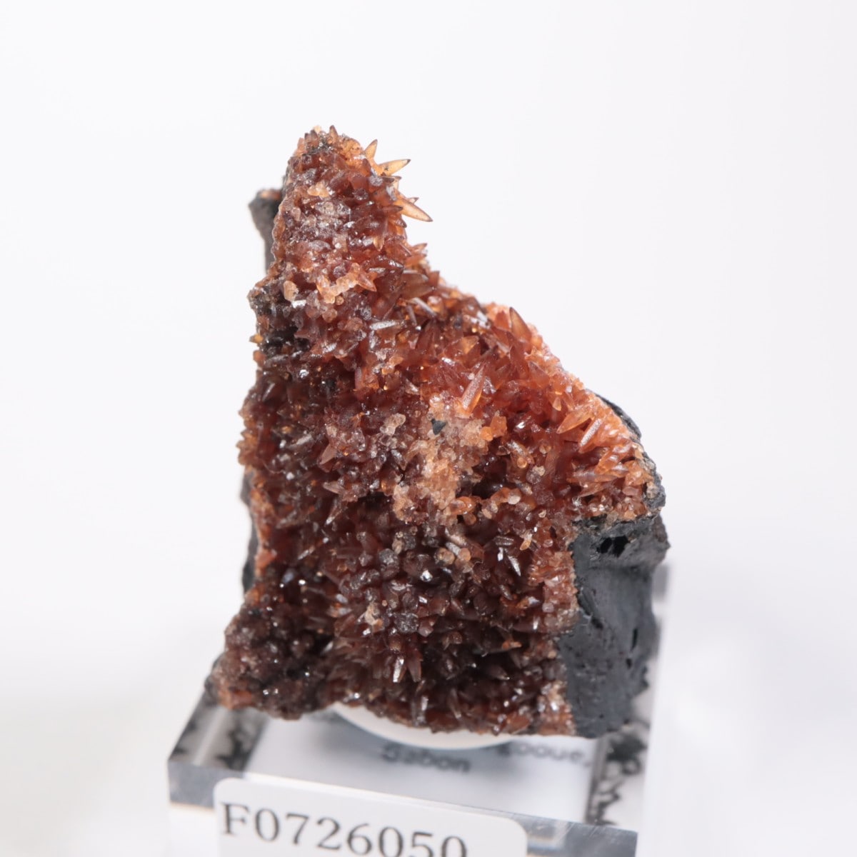 ���ܥ� �����ɥ���������