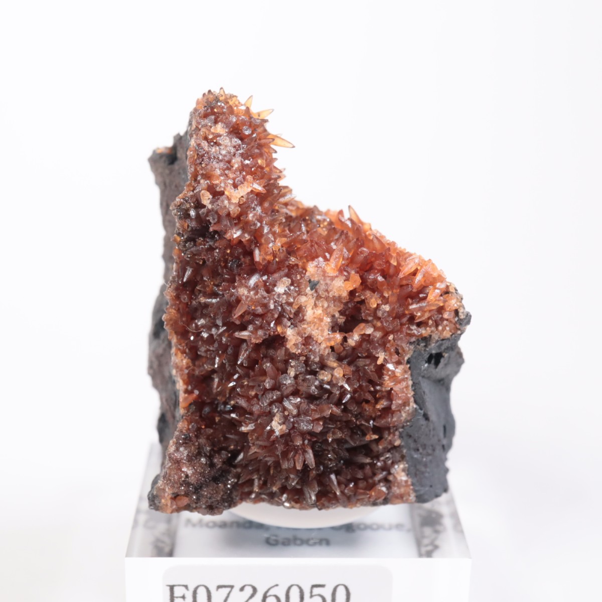 ���ܥ� �����ɥ���������