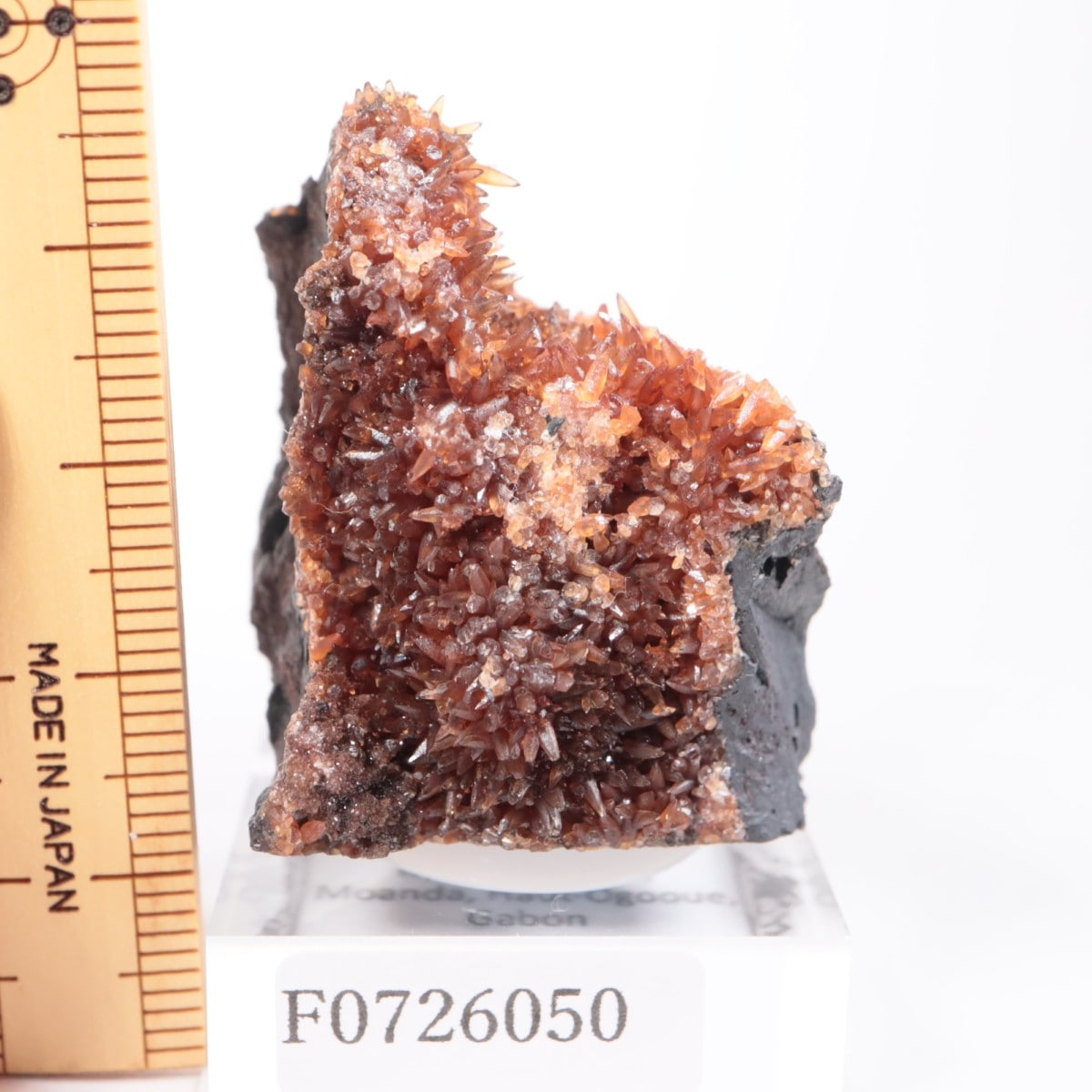 ���ܥ� �����ɥ���������