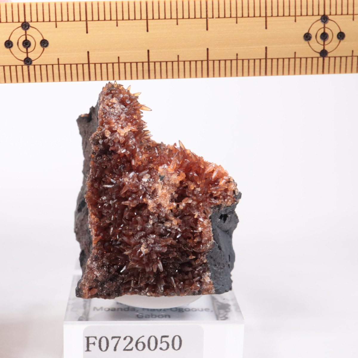 ���ܥ� �����ɥ���������