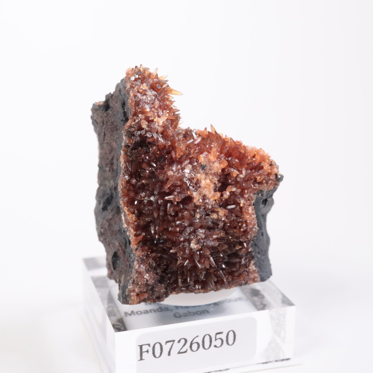 ���ܥ� �����ɥ���������