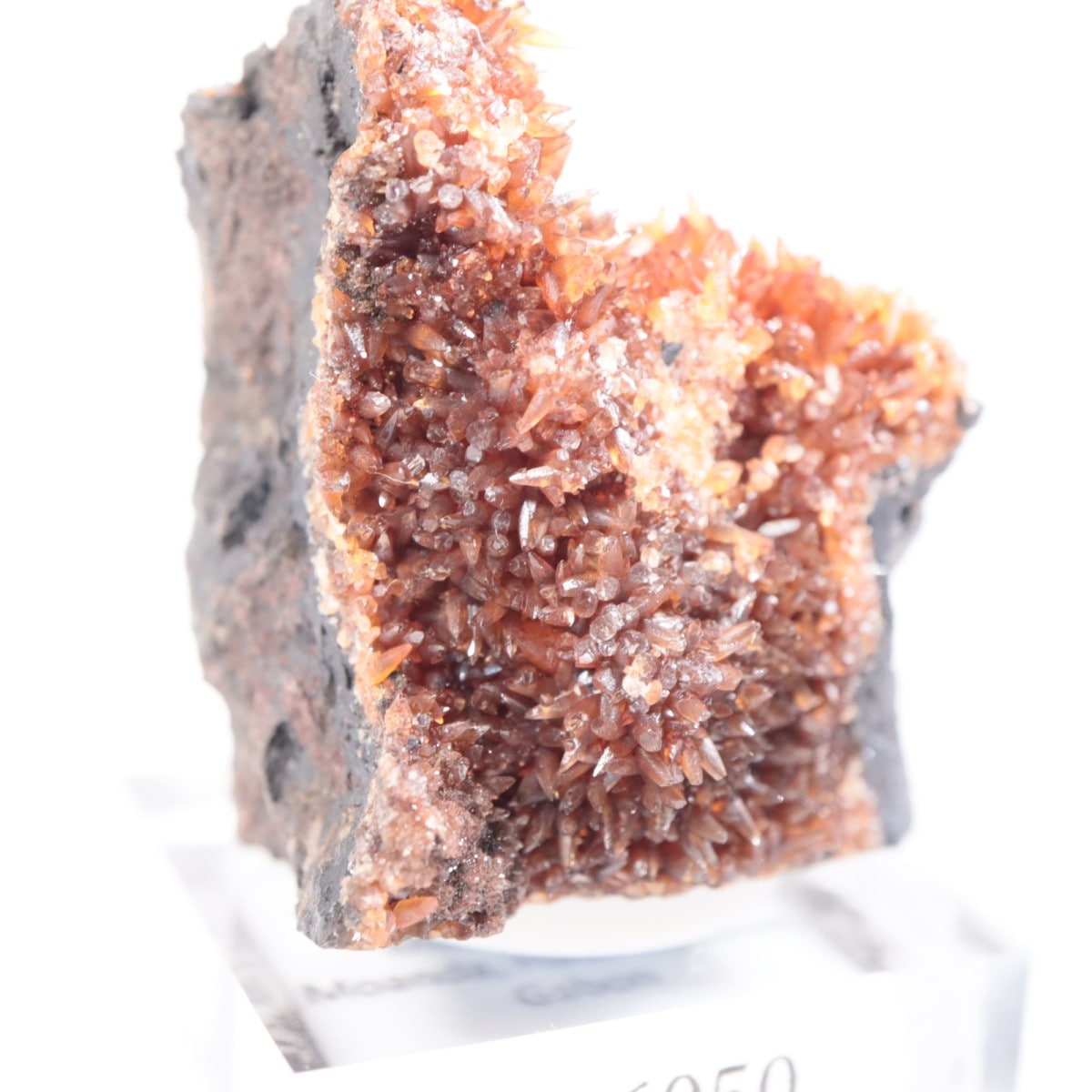 ���ܥ� �����ɥ���������