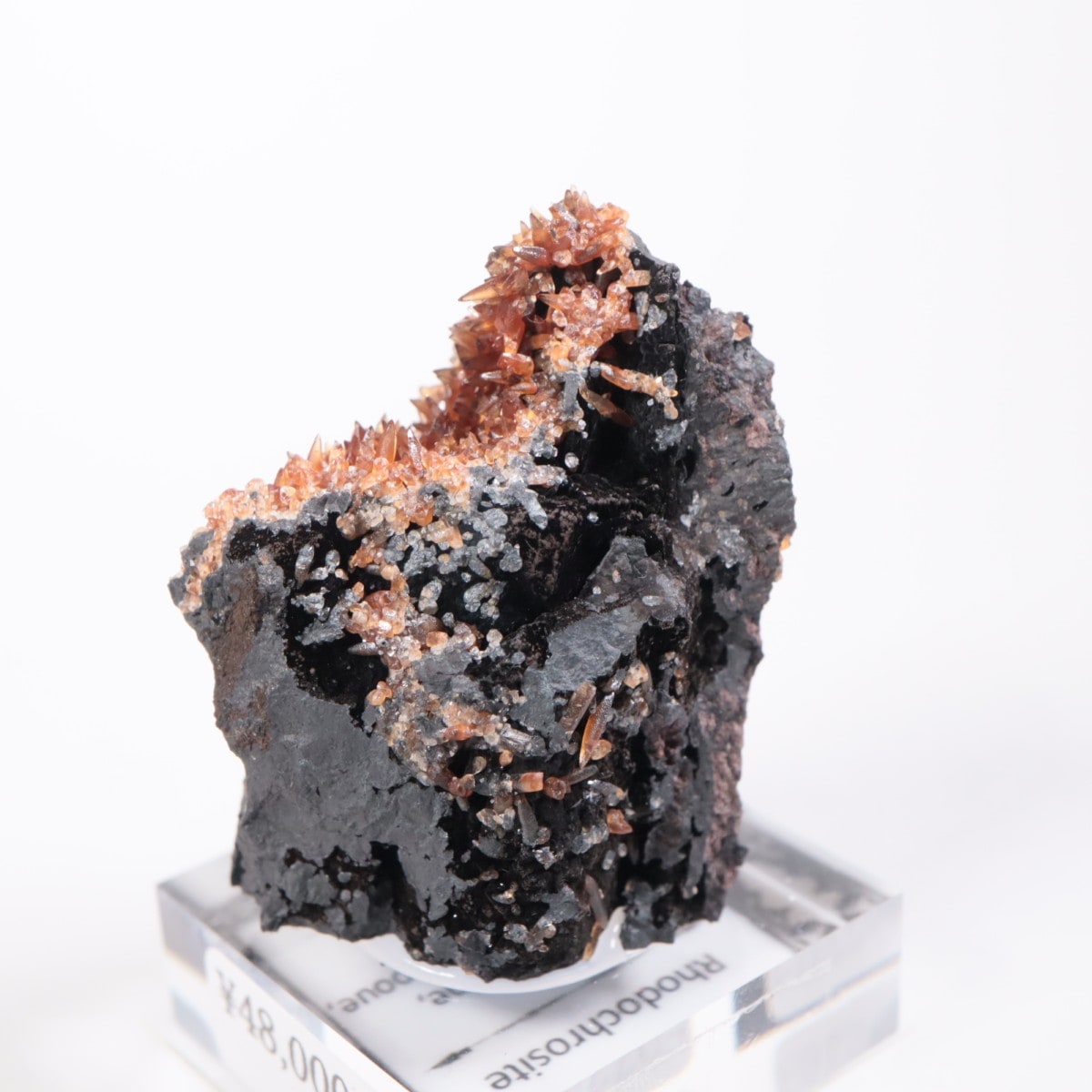 ���ܥ� �����ɥ���������