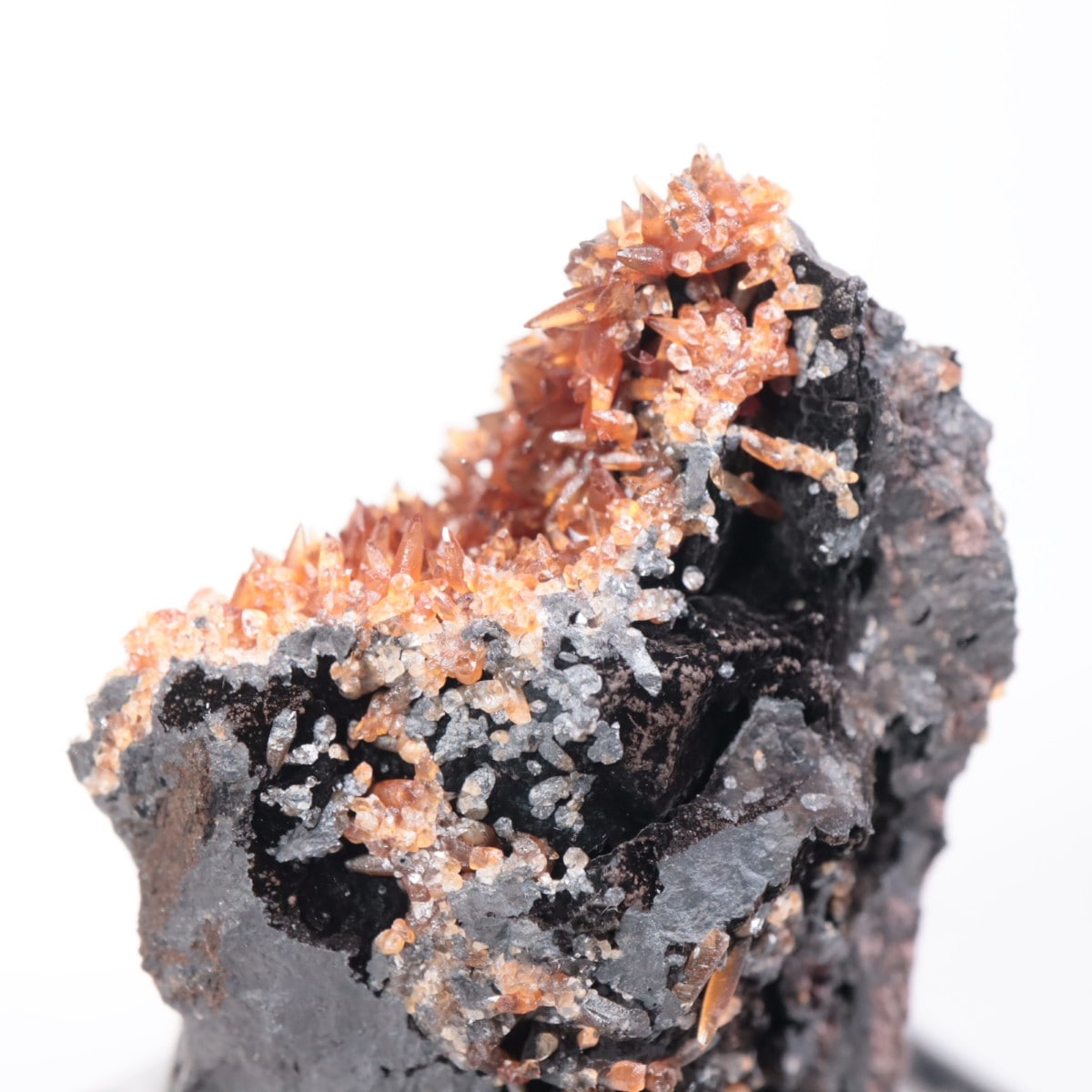 ���ܥ� �����ɥ���������