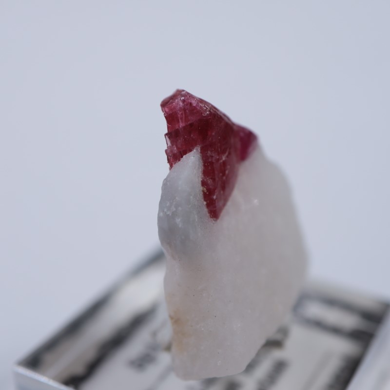 ベトナム産 スピネル | 鉱物標本,サ行,スピネル/尖晶石 | ほたる