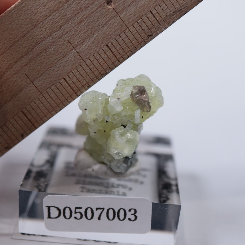 タンザニア メレラニヒルズ産 イエロープレナイト＆タンザナイト タンザニア メレラニヒルズ産 イエロープレナイト＆タンザナイト